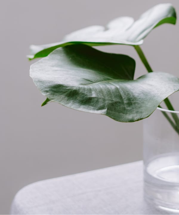 What's Next for Embedded Insurance?